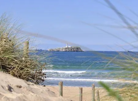 Отель Bemon Playa Сомо